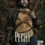 pechi-2024-360×540