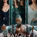baaghi-4-2025-zeefliz