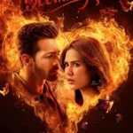 ek-deewane-ki-deewaniyat-2025-zeefliz-1